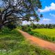 Agence de voyage moto au Sri Lanka