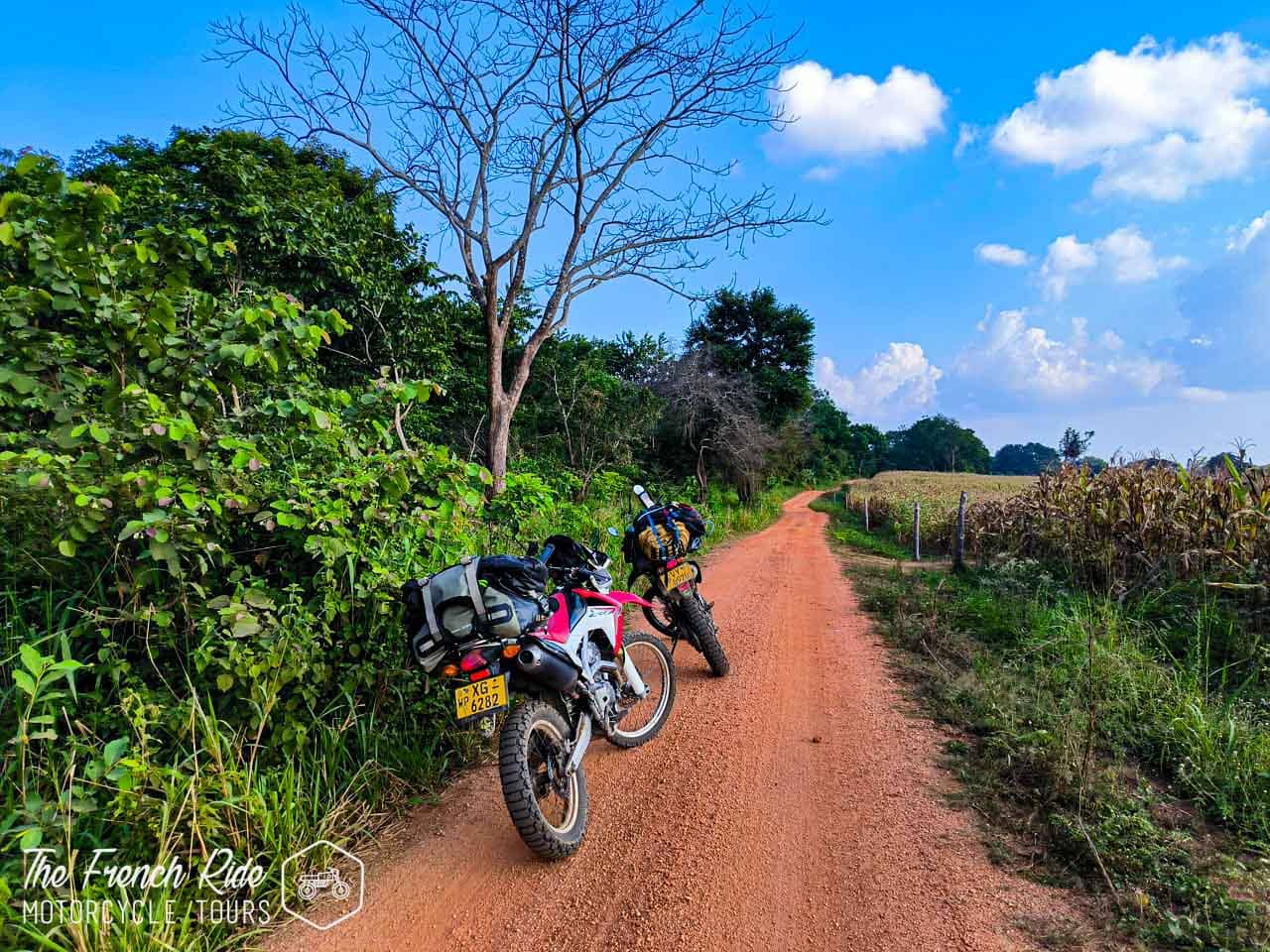 Séjour moto organisé au Sri Lanka