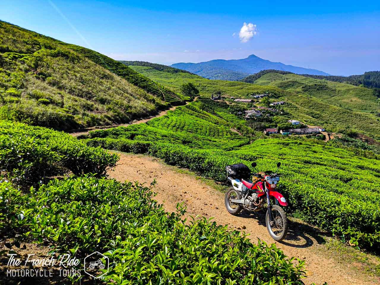 Voyage moto guidé au Sri Lanka