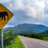 Voyage moto au Sri Lanka