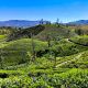 Voyage à moto organisé au Sri Lanka