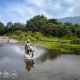 voyage à moto guidé au sri lanka